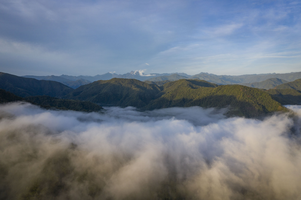 Conservation work in Colombian rivers